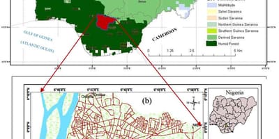 Mappa della nigeria mostrando vegetazione cinture